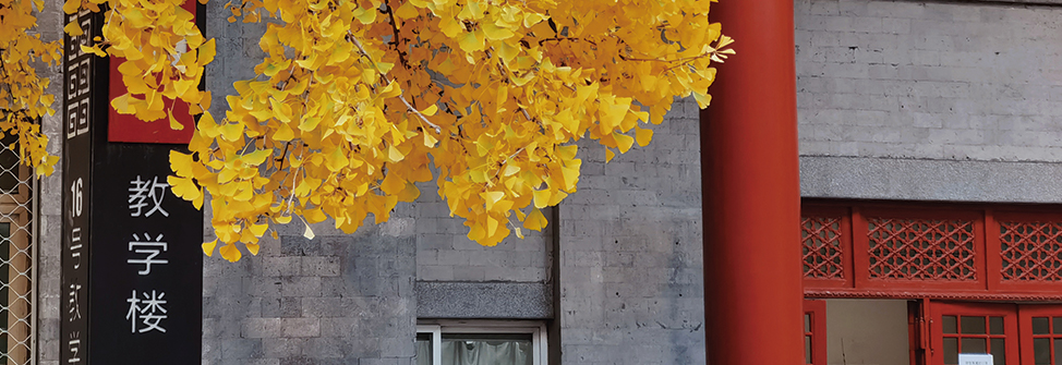 william威廉中文官网