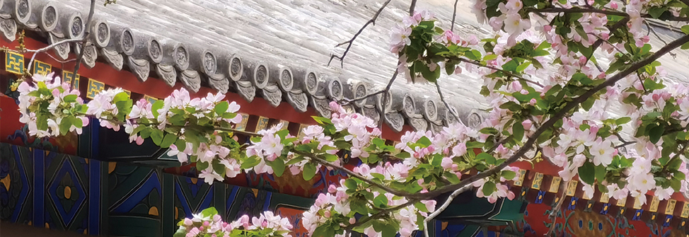 william威廉中文官网